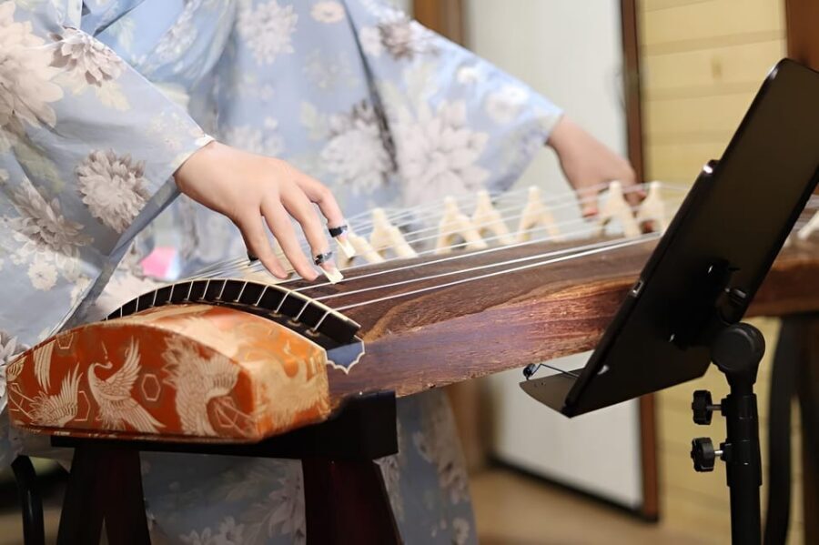 Kyoto: Japanese Koto & Shamisen Concert and Koto Class - What the included materials and private session mean for your comfort