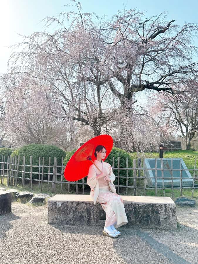 Kyoto: Kimono Rental Traditional Experience at Wargo in Gion - Value check: is about $33 really worth it?