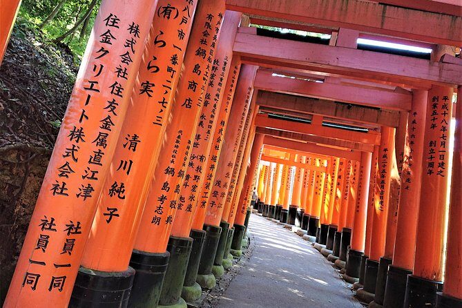 Kyoto Late Bird Walking Tour - Late-bird timing: why 2:00 pm is a smart move