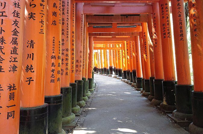 Kyoto Lazy Bird Walking Tour - Why a private guide is worth it in Kyoto