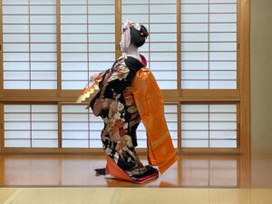 Kyoto: Meet the Geisha Maiko with Gion Walking Tour - Getting oriented in Gion: from Shirakawa Canal to Hanamikoji