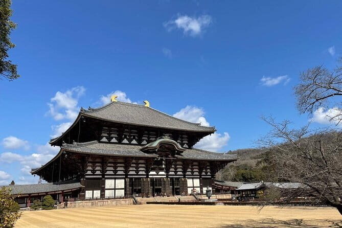 Kyoto & Nara Day Tour: Golden Pavilion, Fushimi Inari & Deer Park - The real value of this Kyoto and Nara day tour