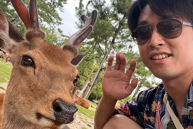 Kyoto & Nara Day Tour: Golden Pavilion, Fushimi Inari & Deer Park - Price check: is $93 a good value?