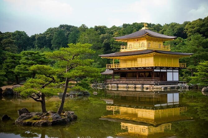Kyoto & Nara Day Tour: Golden Pavilion, Fushimi Inari & Deer Park - Start at Kyoto VIP Lounge: the day begins calmly