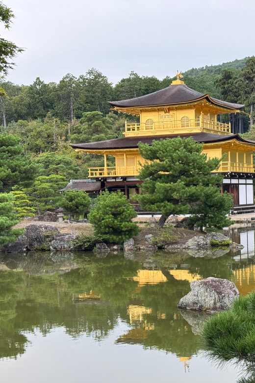 Kyoto & Nara Full Day Customised Tour - Gion and Kiyomizu-dera Options: Atmosphere Adds the Final Chapter