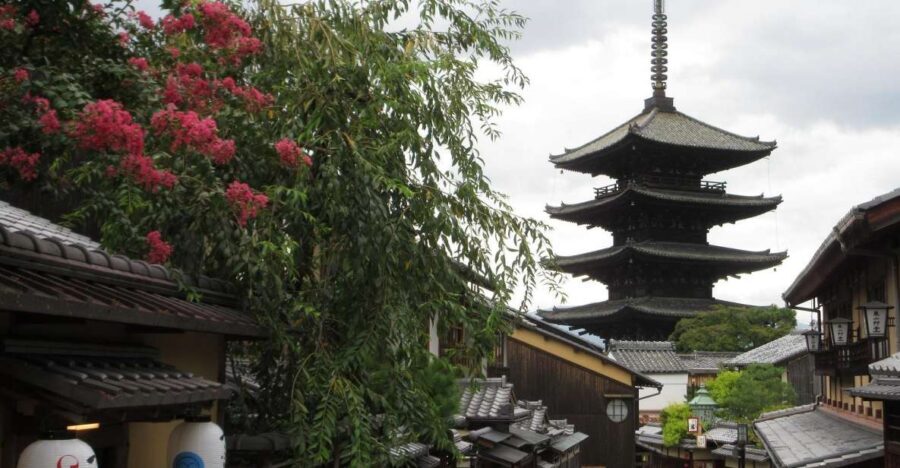 KYOTO-NARA: Giant Buddha Deer Pagoda "Geisya" (Italian, full day) - How the Italian guide support changes the day