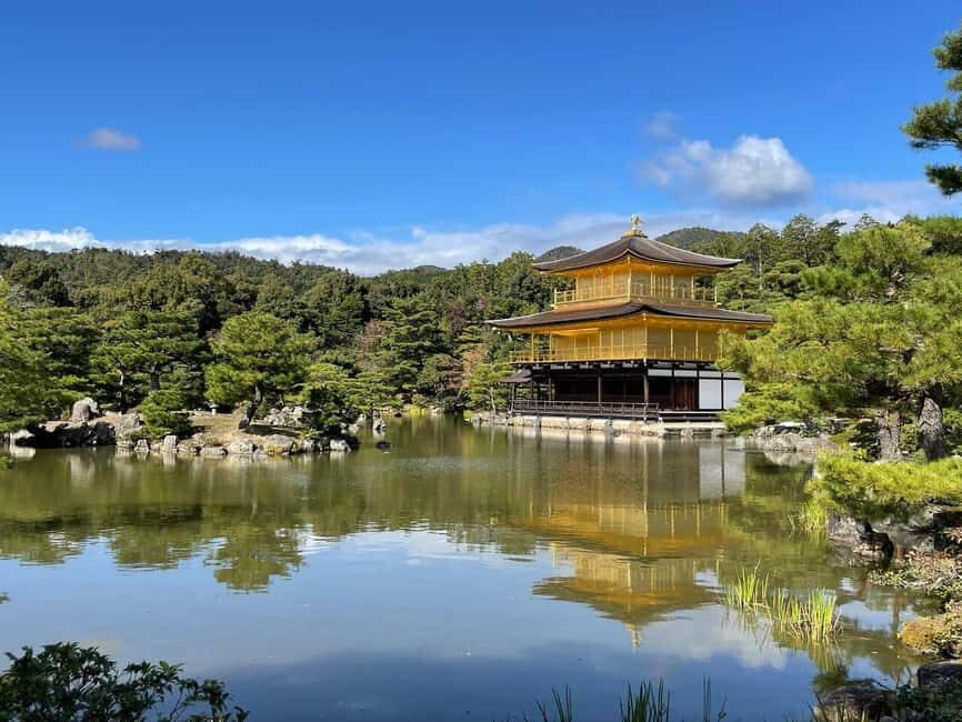 Kyoto & Nara Private Customized, Guided Tour - Key Things You Can Expect