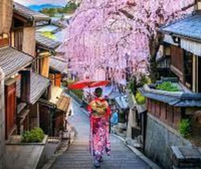 Kyoto & Nara Private Customized, Guided Tour - Price and Value: $438 for Up to 6 People