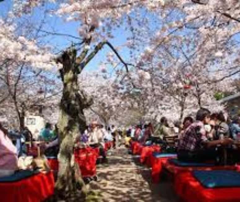 Kyoto & Nara Private Customized, Guided Tour - Nishiki Market: Guided Setup, Then Freedom to Shop