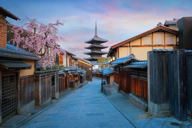 Kyoto & Nara: Private Day Tour by luxury Vehicle & English Guide - Fushimi Inari-taisha: Torii Gates With Clear Direction
