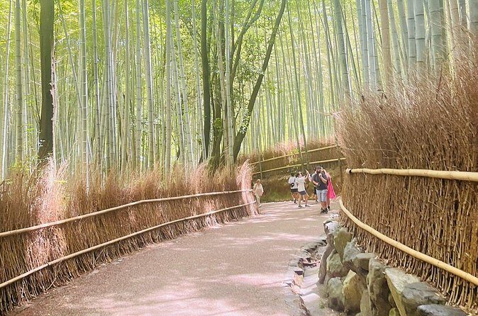 Kyoto & Nara: Private Day Tour by luxury Vehicle & English Guide - Why the English Guide Matters (Ravi’s Example)