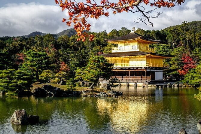 Kyoto & Nara Private Tour from Osaka Kyoto Hotel Pick-up - Nara Park Deer Time: Sweet, Fast, and Very Japan