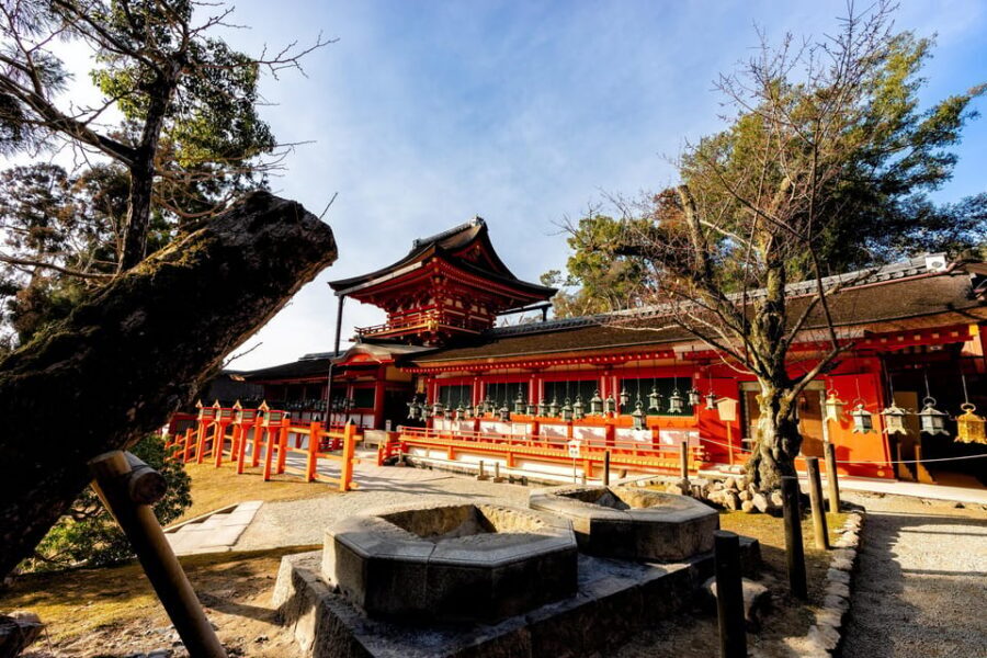 Kyoto: Nara, Todaiji, Kasuga Taisha Shrine Private Full Day - Key moments worth planning for