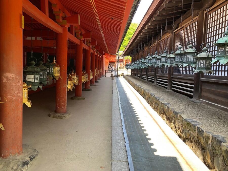 Kyoto: Nara, Todaiji, Kasuga Taisha Shrine Private Full Day - Kotoya lunch or your own meal: how to handle the food break