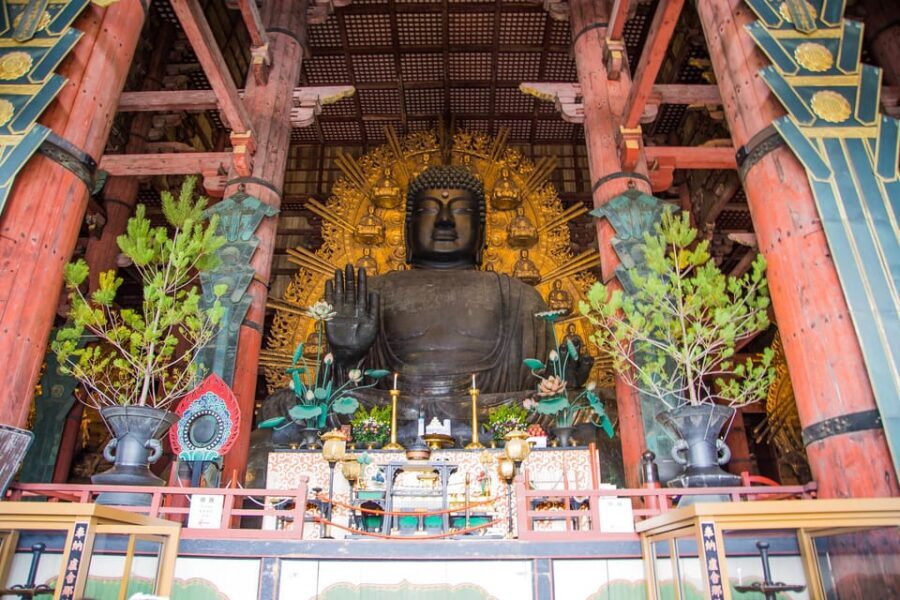 Kyoto: Nara, Todaiji, Kasuga Taisha Shrine Private Full Day - Comfort, safety, and who this itinerary fits best