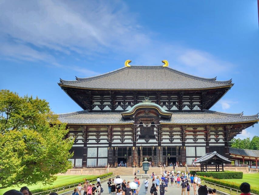 Kyoto: Nara, Todaiji, Kasuga Taisha Shrine Private Full Day - Nara Park deer time: short, fun, and very photogenic