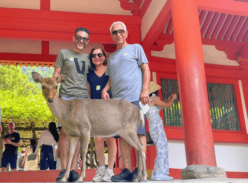 Kyoto: Nara & Traditional Matcha Experience Bus Tour - Nara Park Deer Encounters: Fun, Cute, and Slightly Risky