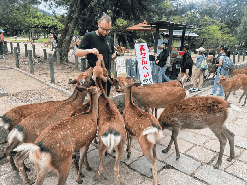 Kyoto: Nara & Traditional Matcha Experience Bus Tour - Uji Free Time and Hands-On Matcha Making