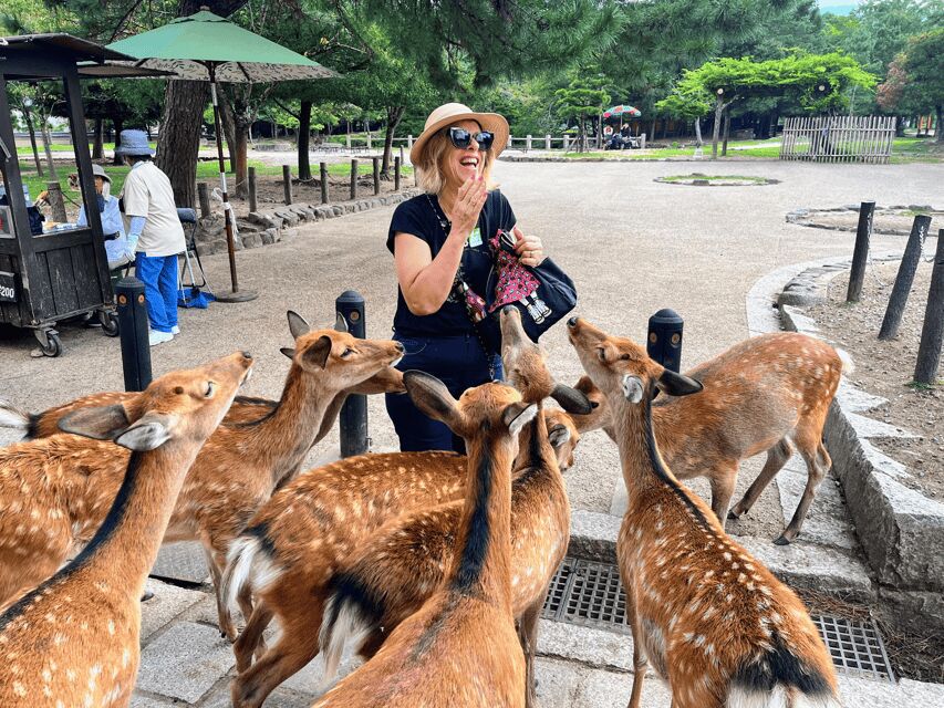 Kyoto: Nara & Traditional Matcha Experience Bus Tour - The Road to Nara: Comfort First, Then History
