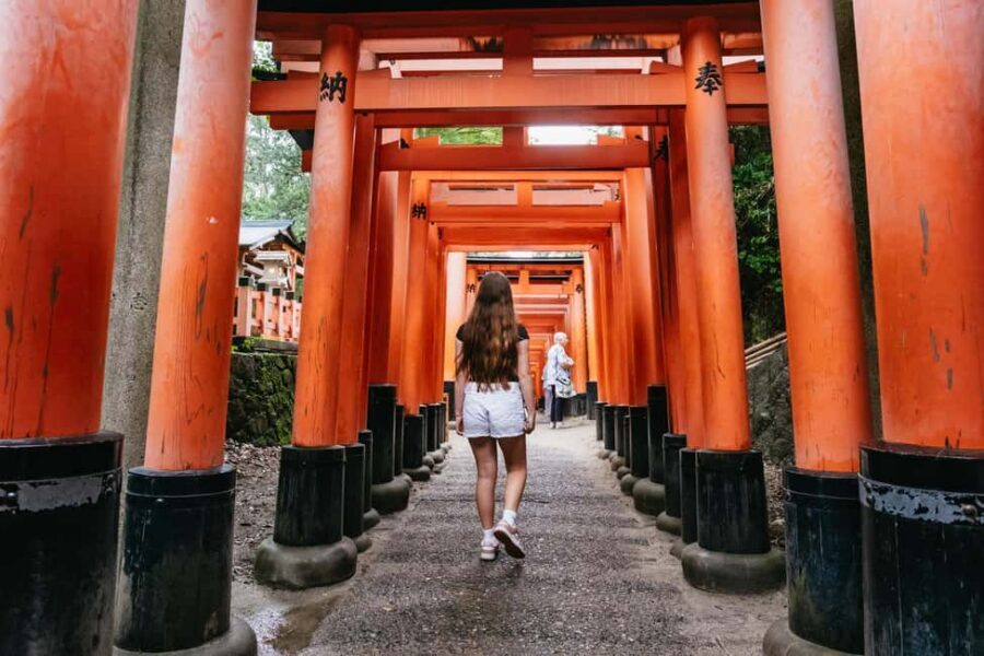 Kyoto: Nijo Castle, Kiyomizu & Fushimi Inari Guided Tour - Arashiyama Bamboo Grove Early Access for Photos and Quiet Walks