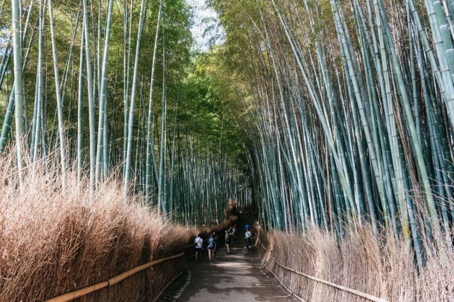 Kyoto: Nijo Castle, Kiyomizu & Fushimi Inari Guided Tour - How the Bilingual Guides Make or Break the Day