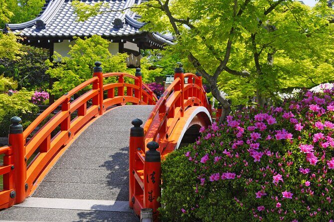 Kyoto: Nijo Castle World Heritage Guided Tour with Admission - The Guide Makes It Click: Shogun vs Emperor Stories and Real Q&A