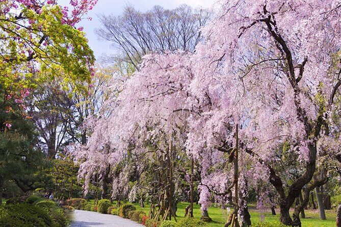 Kyoto: Nijo Castle World Heritage Guided Tour with Admission - Shoes, Socks, and Indoor Rules You Should Know