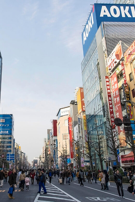 Kyoto/Osaka: Kobe & Himeji Journey Through Culture & History - Kobe Harborland, Ikuta Shrine, and Nankinmachi in One Day
