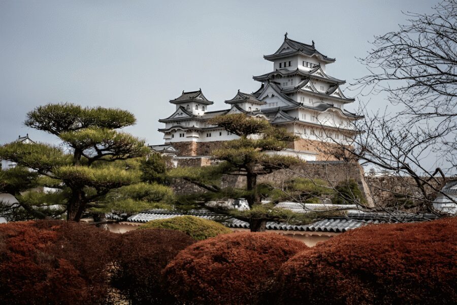 Kyoto/Osaka: Kobe & Himeji Journey Through Culture & History - Himeji Castle: The White Heron Moment You Can’t Fake