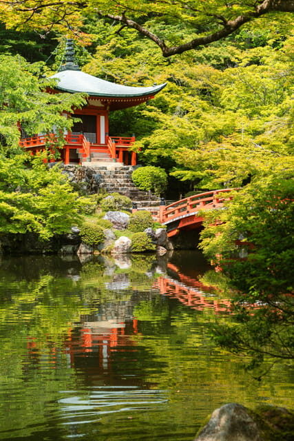 Kyoto/Osaka: Kyoto and Nara Customized Private Guided Tour - Kinkaku-ji Golden Pavilion: Gold Leaf and Calm Viewing Time