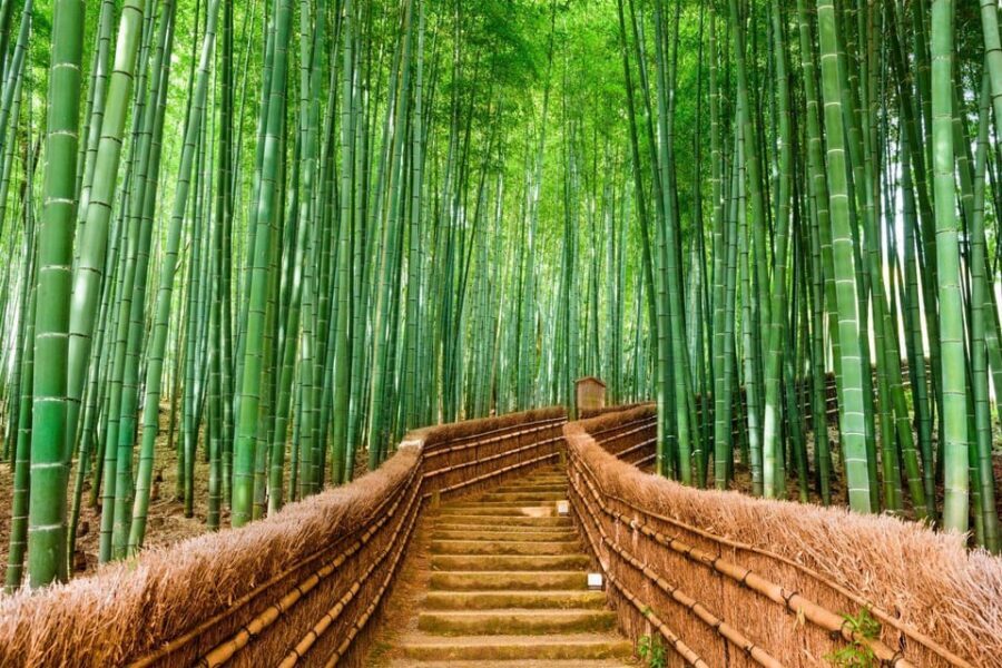 Kyoto/Osaka: Kyoto and Nara Customized Private Guided Tour - Gion and Nishiki Market: Temple Day Meets Street Kyoto