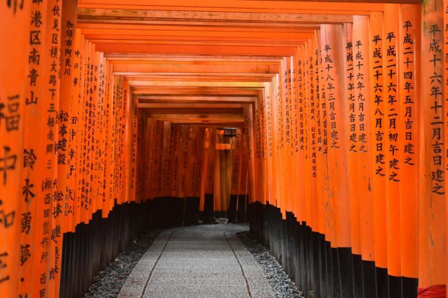 Kyoto/Osaka: Kyoto&Nara Customized Private Highlights Tour - Key highlights you’ll feel fast