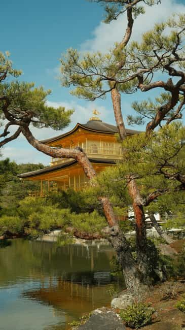 Kyoto/Osaka: Kyoto&Nara Customized Private Highlights Tour - Price and value: what $441 per group really buys
