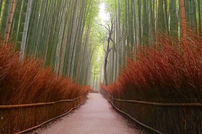 Kyoto, Osaka, Nara Full Day tour by Car English speaking Driver - Sanjusangendo + Ginkakuji: Two More Temples, Different Vibes