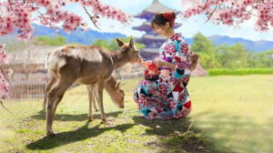 Kyoto/Osaka: Nara, Fushimi Inari Taisha, Arashiyama Bus Tour - Nara Park deer time: cute, chaotic, and very memorable