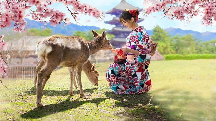 Kyoto/Osaka: Nara, Fushimi Inari Taisha, Arashiyama Bus Tour - Nara Park deer time: cute, chaotic, and very memorable