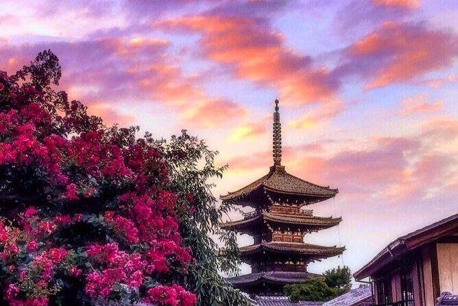 Kyoto, Osaka, Nara Private Tour by Car English Driver Guide - How the 10-hour plan really works
