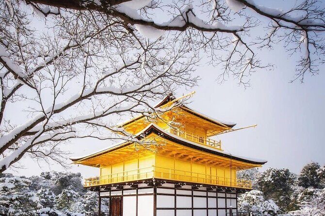 Kyoto, Osaka, Nara Private Tour by Car English Driver Guide - Nara day tour: deer park, Todai-ji, Wakakusayama, Horyu-ji, Kasuga Taisha, and Naramachi