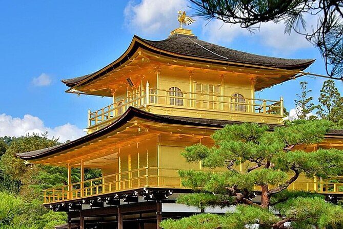 Kyoto, Osaka, Nara Private Tour by Car English Driver Guide - Driver vs guide: how to get the best experience from an English driver