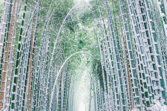 Kyoto, Osaka, Nara Private Tour by Car English Driver Guide - What you should budget: entries and meals are extra