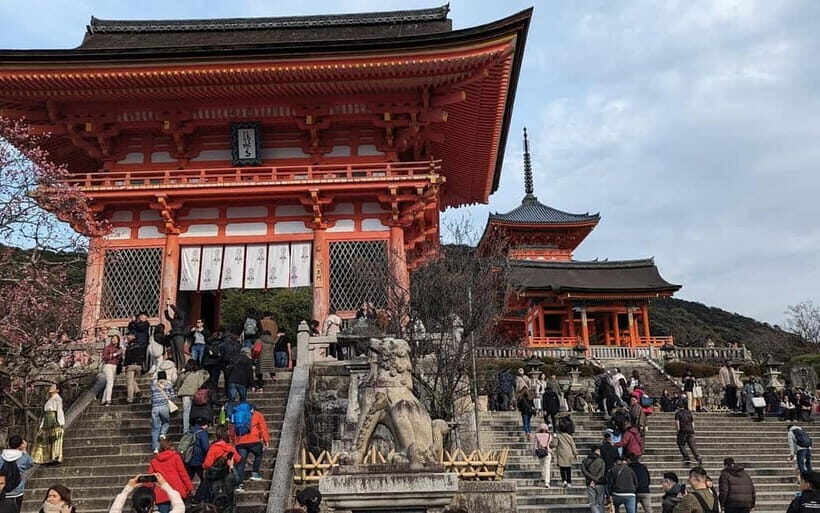 Kyoto: Personalize, private tour (3h, 5h, 8h) [W/Car Option] - Key things to know before you go