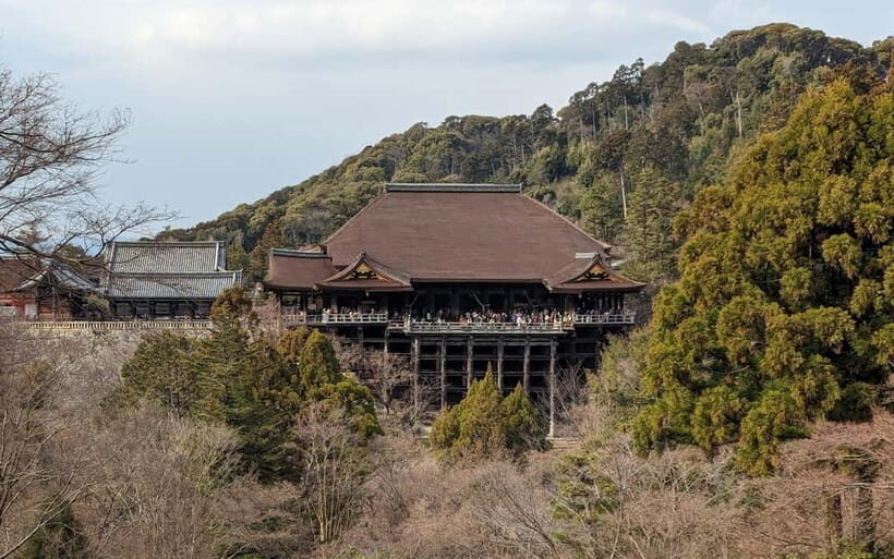 Kyoto: Personalize, private tour (3h, 5h, 8h) [W/Car Option] - Kyoto stops: temples, shrine stories, and neighborhood walking