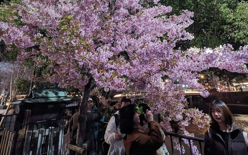 Kyoto: Personalize, private tour (3h, 5h, 8h) [W/Car Option] - Getting around: trains, taxis, and the optional car plan