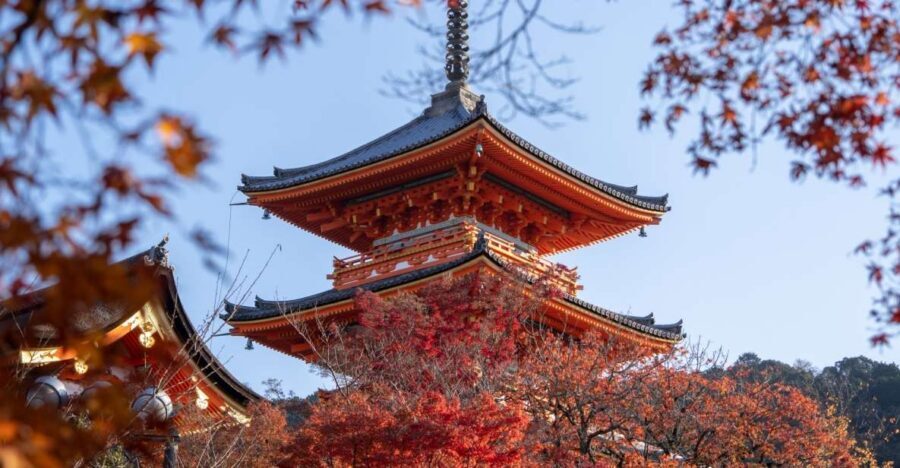 Kyoto: Personalized Guided Private Tour - Key points worth knowing