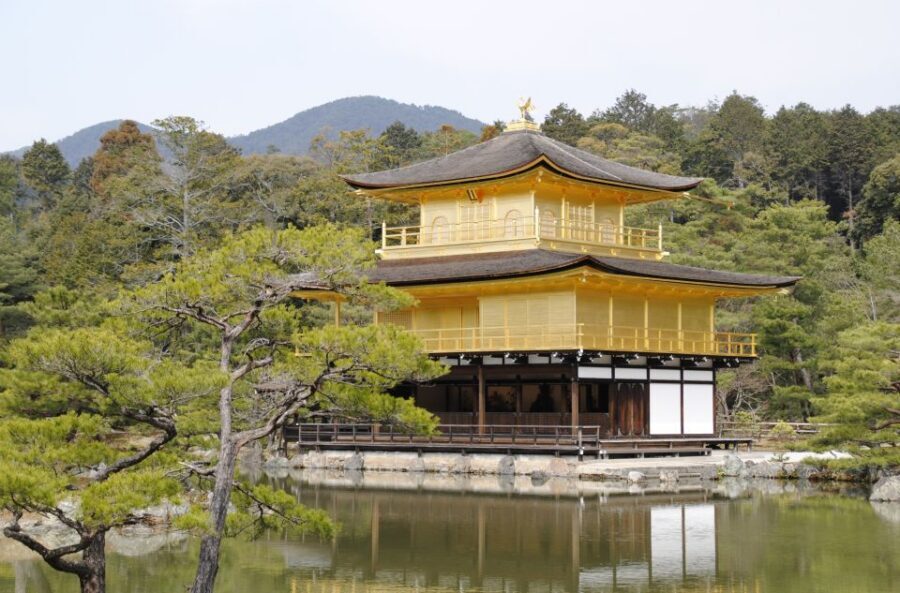 Kyoto: Personalized Guided Private Tour - Guide skills that really show up in the details