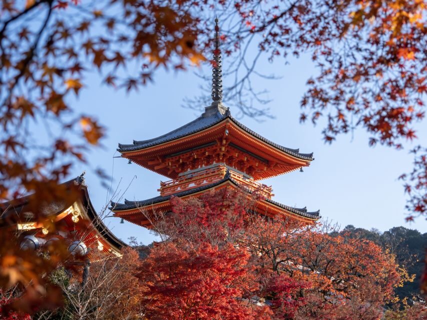 Kyoto: Personalized Guided Private Tour - Fushimi Inari: red Torii gates, done at the right speed