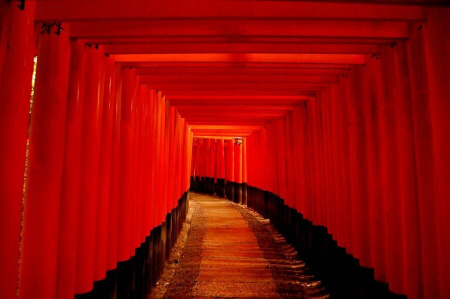 Kyoto: Personalized Guided Private Tour - Price and value: when $459 is worth it