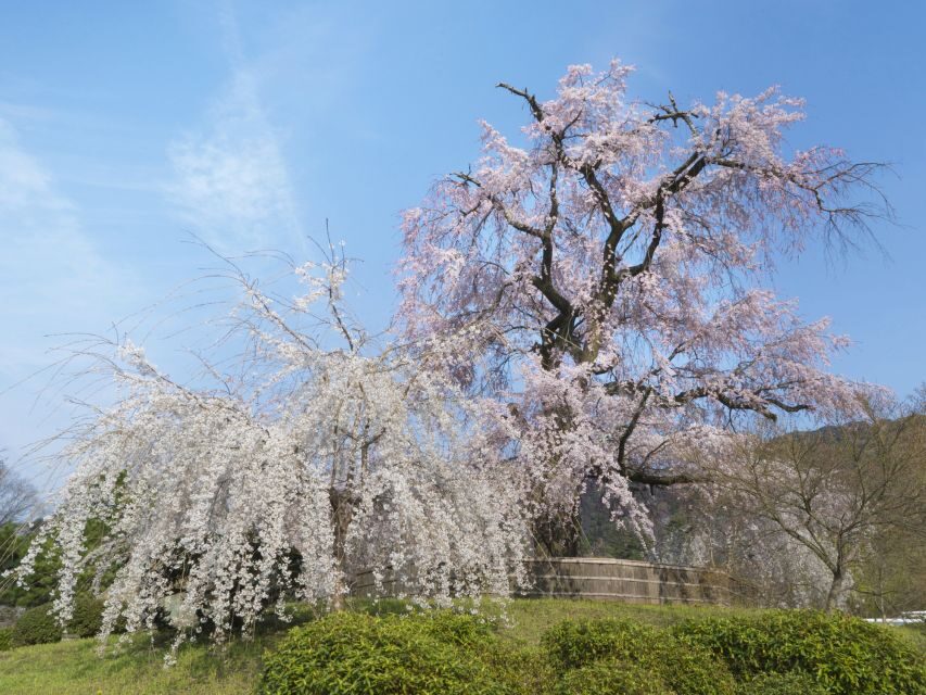 Kyoto: Private 2.5 Hour Historical Walking Tour - Who should book this private Kyoto historical walk