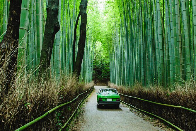 Kyoto Private 6 hour Tour: English Speaking Driver Only, No Guide - Private driver and price: what $400.37 gets you in Kyoto