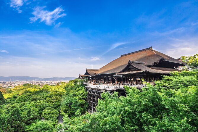 Kyoto Private 6 hour Tour: English Speaking Driver Only, No Guide - Stop 6: Arashiyama Bamboo Grove and finishing with atmosphere